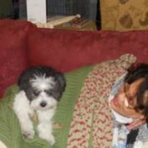 Meet your Posher, Vanessa